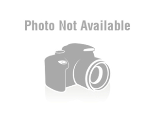 Expert Home & Online Tutoring – All Subjects & Grades